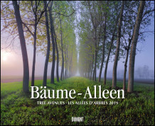 Bäume – Alleen 2019