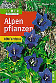 Heilpflanzen der Alpen