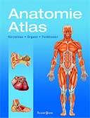 Anatomie-Atlas