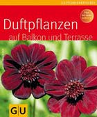 Duftpflanzen für Balkon und Terrasse