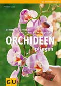 Orchideen pflegen