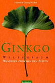 Ginkgo - Weltenbaum