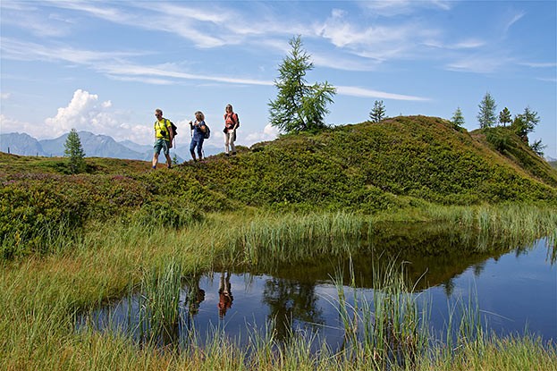 Trögsee am Rande des Wanderwegs