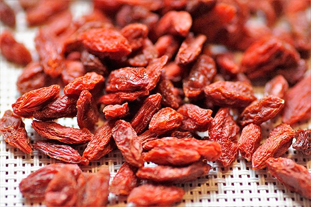 Goji-Beere <> Gemeiner Bocksdorns (getrocknete Früchte)