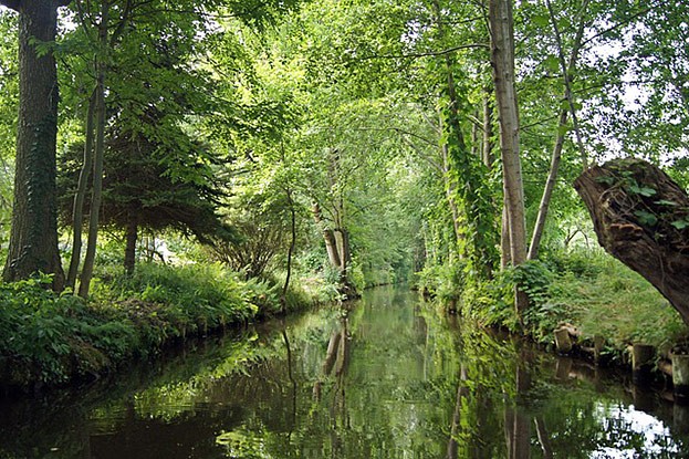 Spreewald