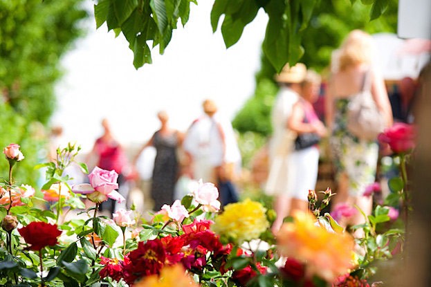 Rosarium in Baden bei Wien