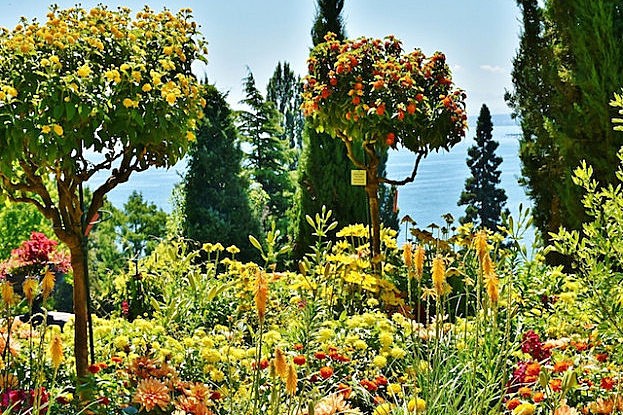 Blumeninsel Mainau