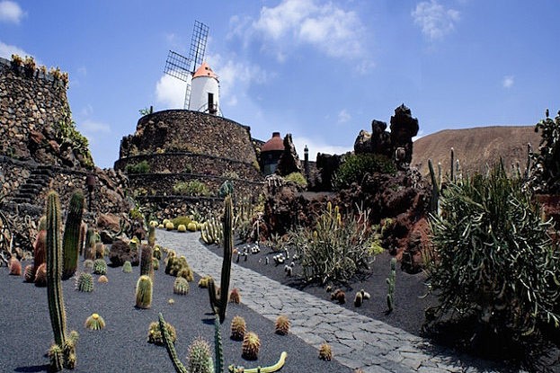 Jardín de Cactus