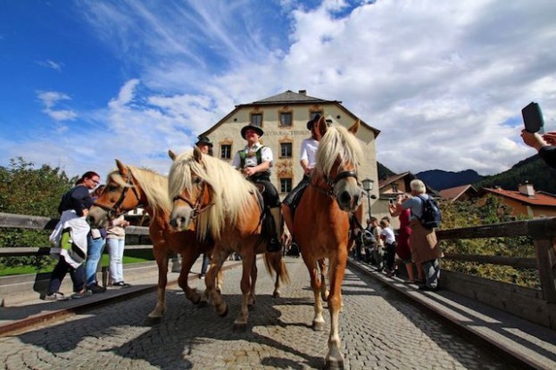 Almabtrieb im Tiroler Oberland