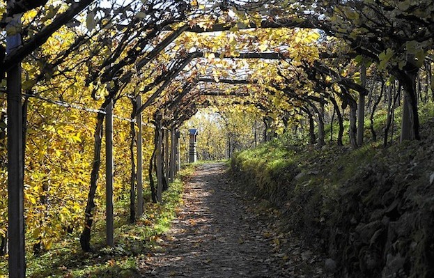 Lauschige Plätzchen auf den Weinwegen