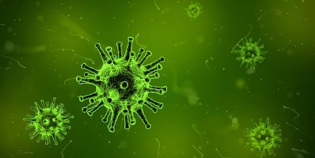 Dem Grippevirus auf der Spur