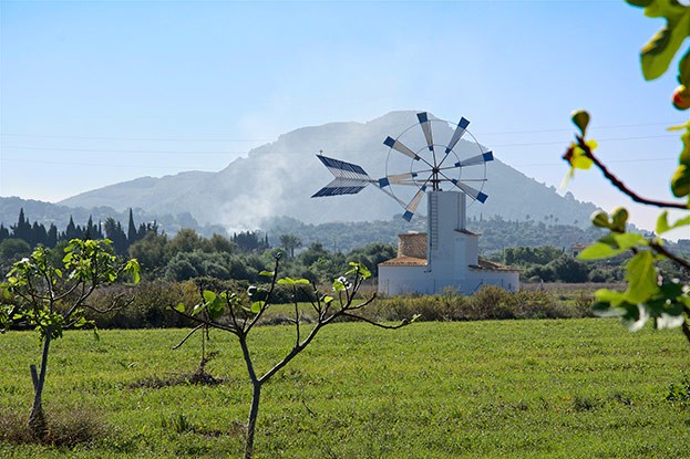 Steinwindmühle