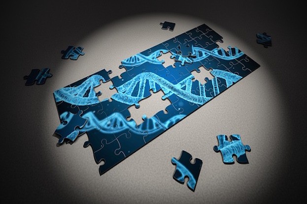 Unsere DNA - noch immer ein Puzzle