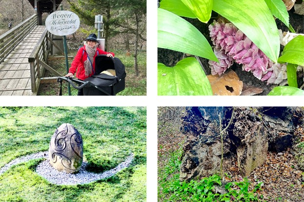 Wegerl im Helenental, Bärlauch mit Schuppenwurz, Skulpturenpark, abgestorbener Baumstamm voll neuem Leben