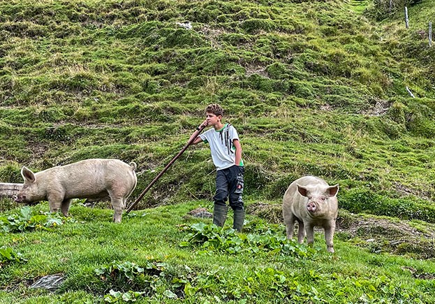 Alltag auf der Schrambachhütte