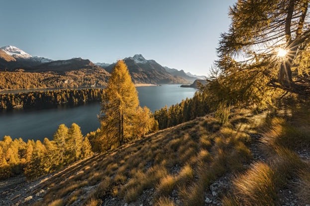 Silsersee im Herbst