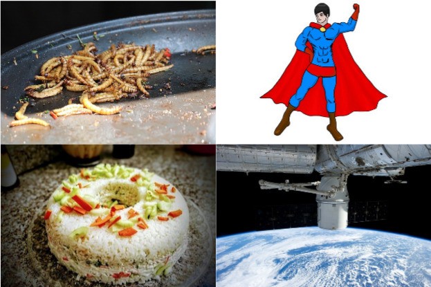 Mehlwürmer für Superman und Sushi im Weltraum