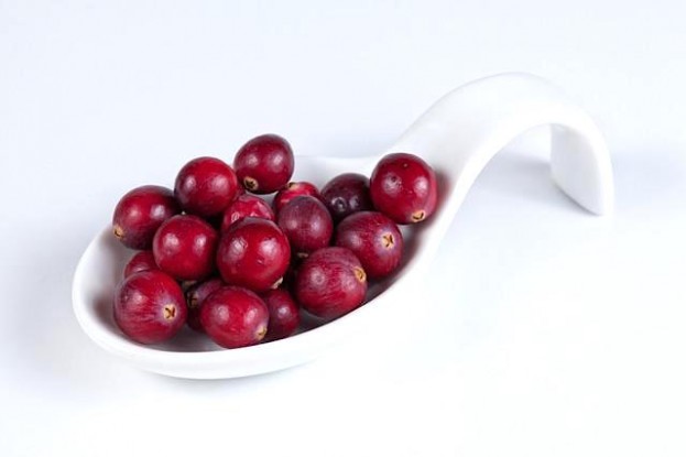 Cranberries senken auch das LDL-Cholesterin