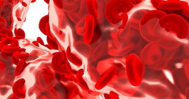 Rote Blutzellen