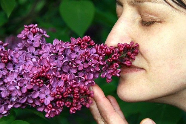 Covid-19 kann Geruchssinn beeinträchtigen
