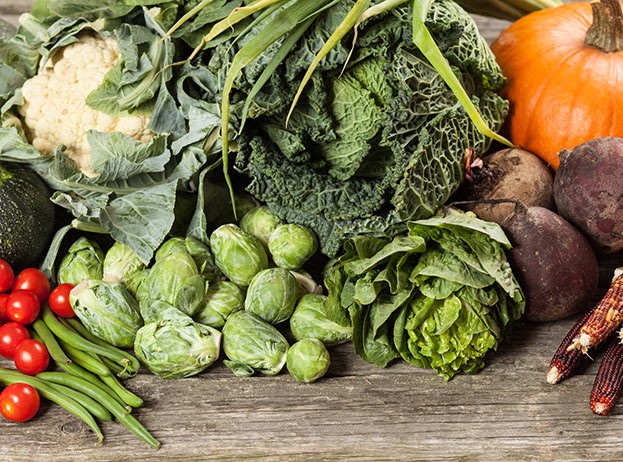Gemüse ein unverzichtbarer Bestandteil einer gesunden Ernährung?