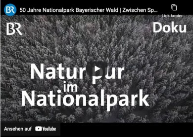 Nationalpark Bayerischer Wald - Bayerischer Rundfunk