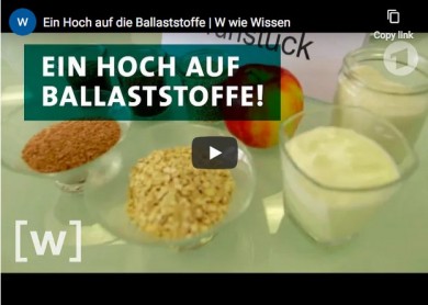 [W] wie Wissen