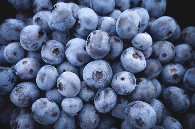 Superfrucht Blaubbere, Heidelbeere - ©Pixabay/Free-Photos