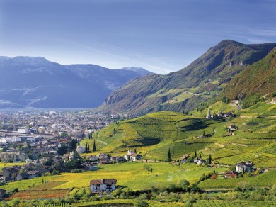 Bozen von St. Magdalena aus - ©IDM Südtirol_Clemens Zahn