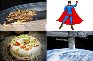 Mehlwürmer für Superman und Sushi im Weltraum - ©Pixabay