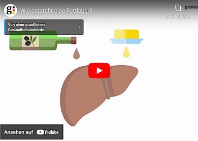 Was ist eigentlich eine Fettleber? - Gesundheitsportal Bund