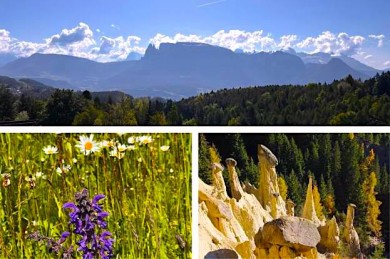 Blick auf die Dolomiten, Blumwiese & Erdpyramiden am Ritten - ©MD_Verlag_SvL, Pixabay_rottonara (1)