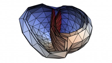 Koordinatendarstellung der Herzkammern - ©Grafik_Dr. Axel Loewe_KIT