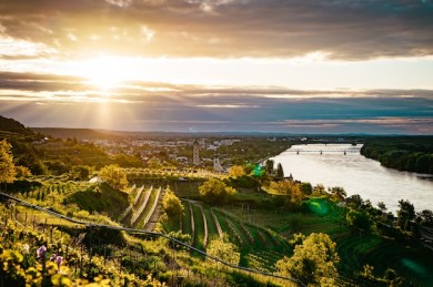 Blick über die Wachau - ©Niederösterreich Werbung_Daniel Gollner