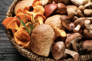 Pilze: Köstlich, aber nicht ganz ungefährlich - ©NewAfrica by Depositphotos