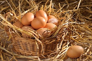 Eier - ©Springfield by Depositphotos