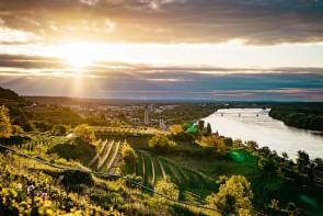 Blick über die Wachau - ©Niederösterreich Werbung_Daniel Gollner