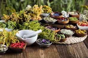 Pflanzenheilkunde in der modernen Medizin - ©zolnierek by depositphotos