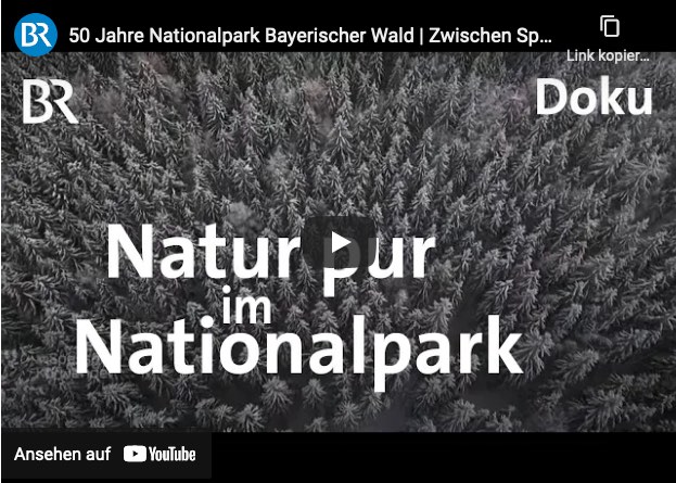 Nationalpark Bayerischer Wald