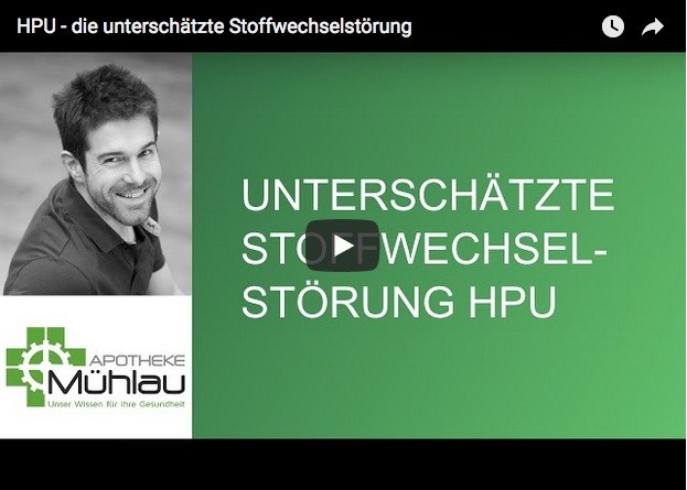 Video-Vorschau