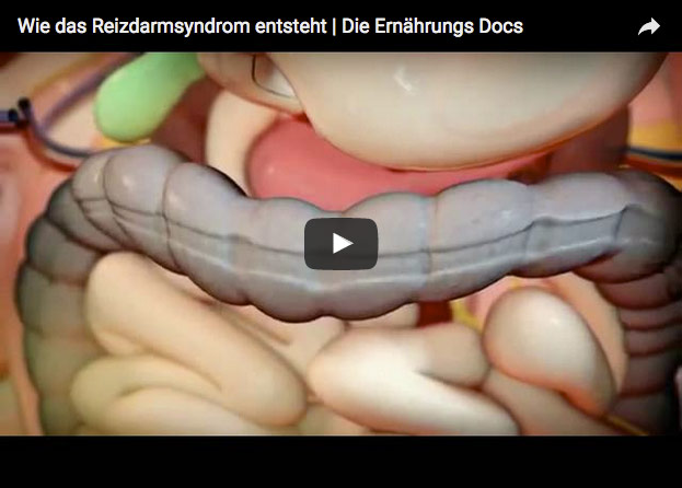 Wie das Reizdarmsyndrom entsteht