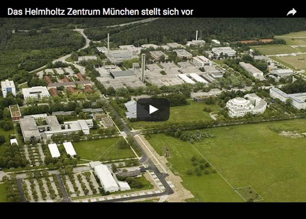 Video-Vorschau