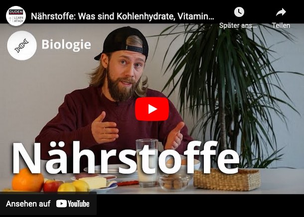 Video-Vorschau