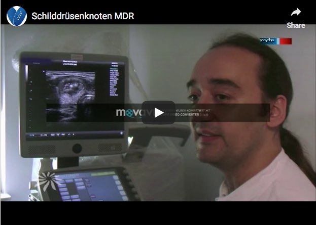 DEUTSCHES ZENTRUM FÜR THERMOABLATION e.V.