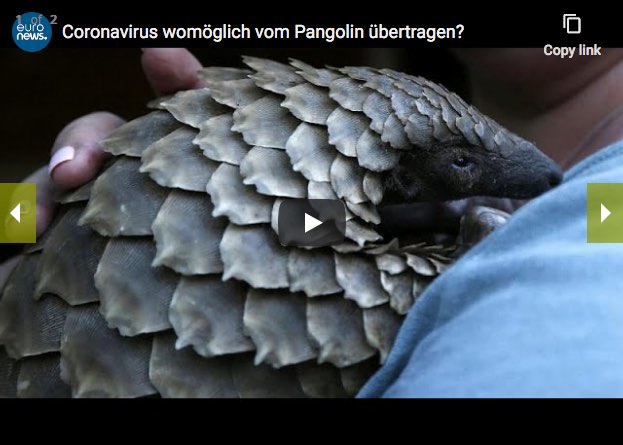 Löste das Pangolin den Coronavirus aus?