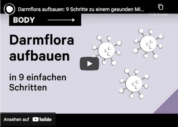 Video-Vorschau