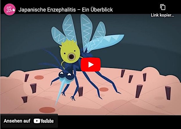 Japanische Enzephalitis