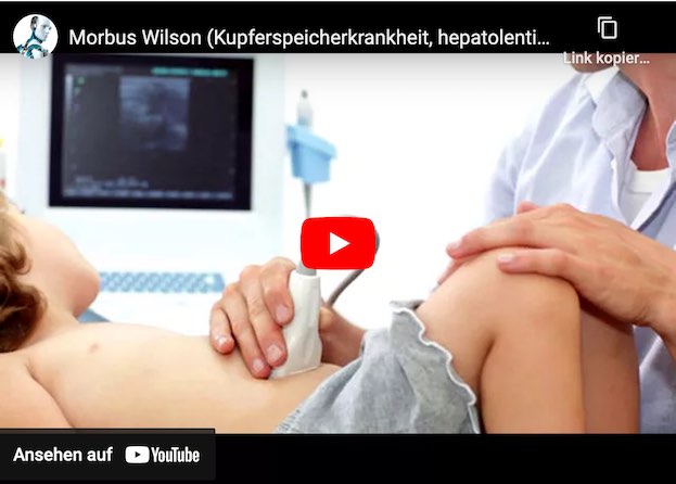 Bakterien-Wirkstoff gegen Kupferspeicherkrankheit