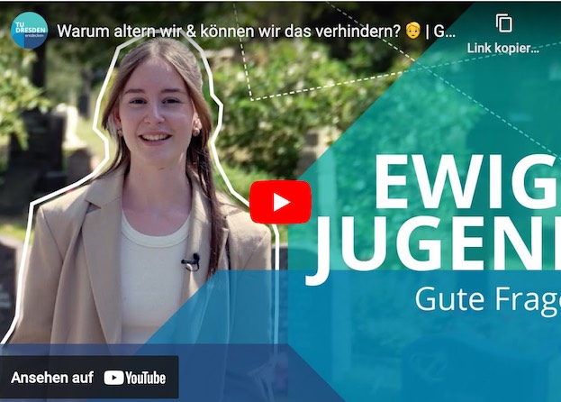 Warum altern wir & können?