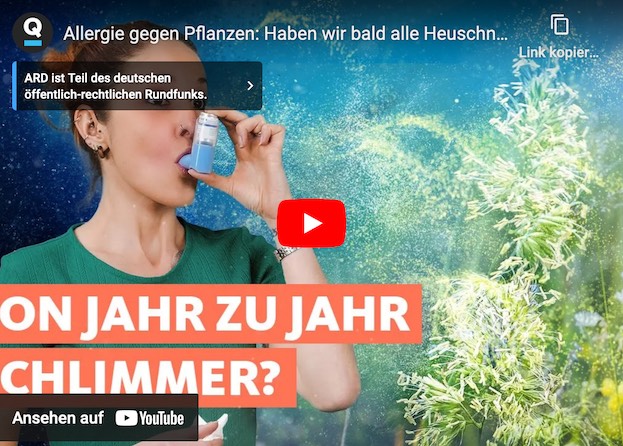 Heuschnupfen (Pollenallergie): Auswirkungen, Abhilfen und Therapiemöglichkeiten